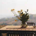 La Collina Dei Gelsi * Montecarotto