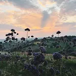 La Collina Dei Gelsi 公寓 Montecarotto