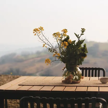 La Collina Dei Gelsi * Montecarotto