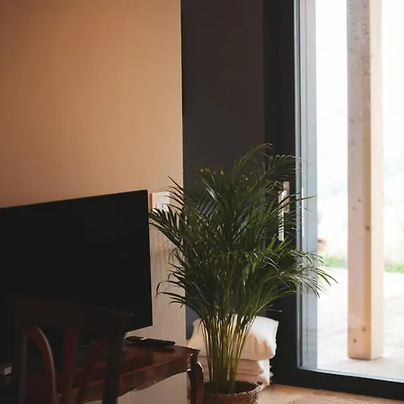 La Collina Dei Gelsi