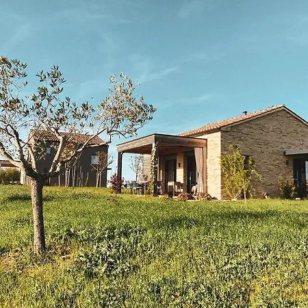 La Collina Dei Gelsi Apartmán Montecarotto