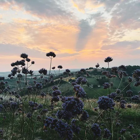 La Collina Dei Gelsi Apartmán Montecarotto