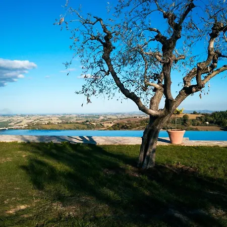 La Collina Dei Gelsi 公寓 Montecarotto