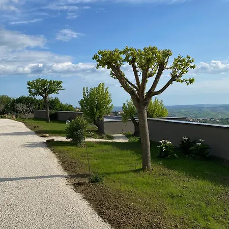 La Collina Dei Gelsi